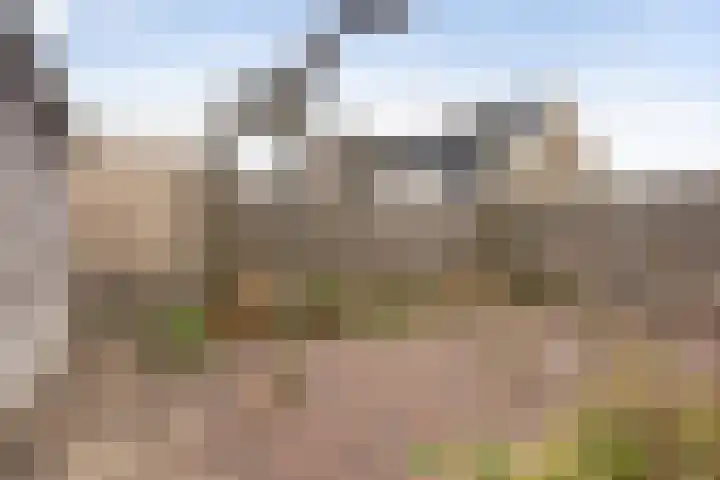 Griene Wei 30 Easternijtsjerk thumbnail 34
