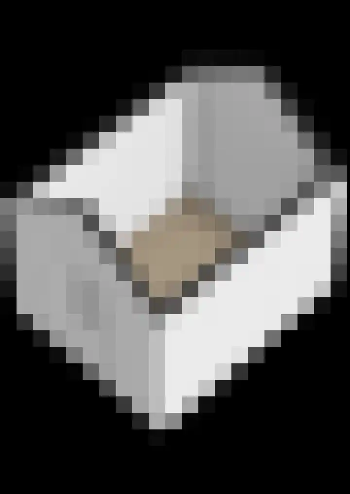 Griene Wei 30 Easternijtsjerk thumbnail 51