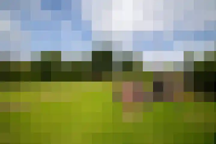 Griene Wei 39 Easternijtsjerk thumbnail 11