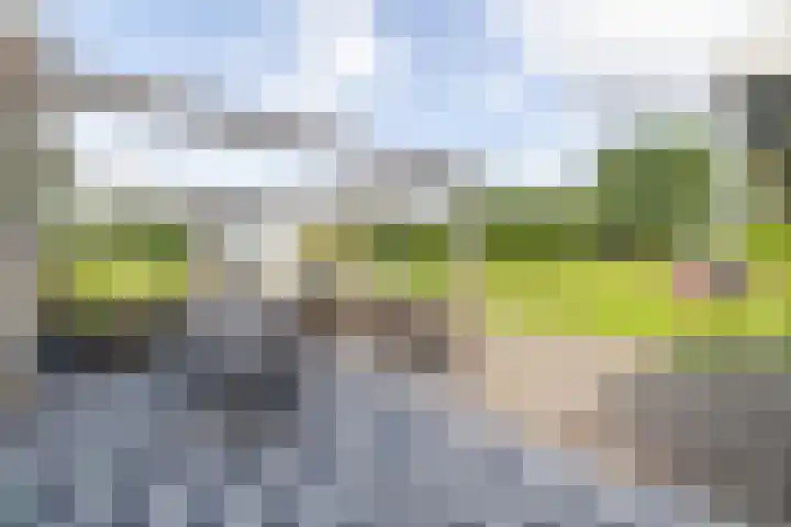 Griene Wei 39 Easternijtsjerk thumbnail 13