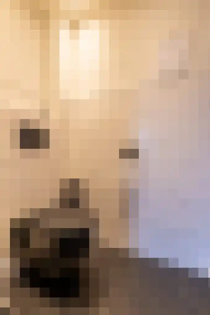 Griene Wei 39 Easternijtsjerk thumbnail 17