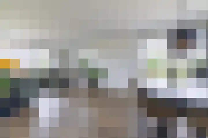 Griene Wei 39 Easternijtsjerk thumbnail 21