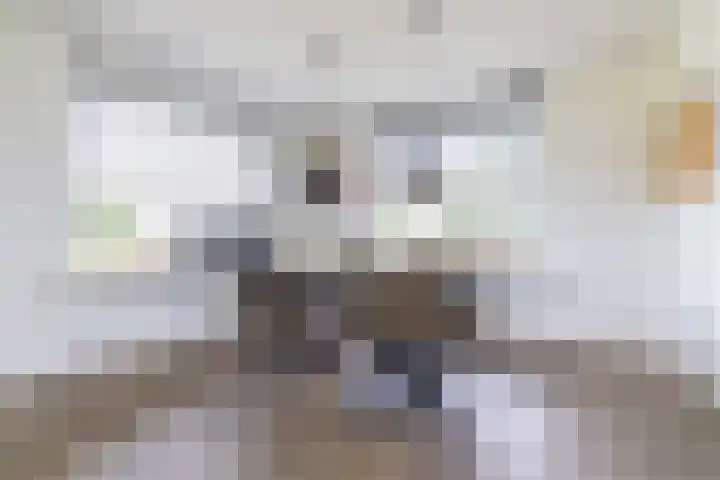 Griene Wei 39 Easternijtsjerk thumbnail 22
