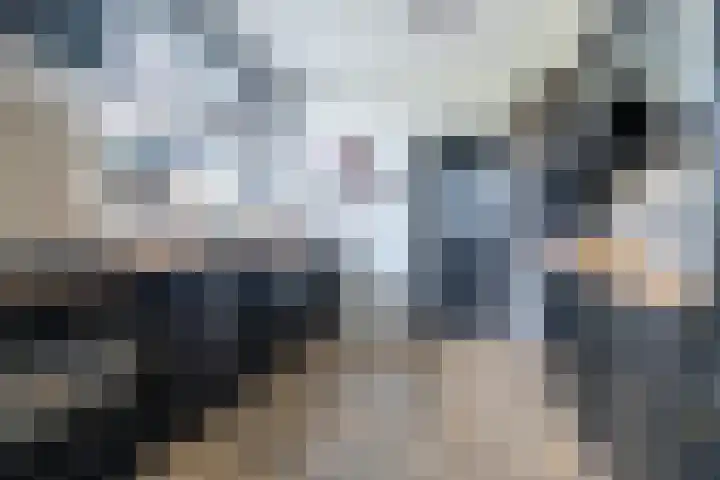 Griene Wei 39 Easternijtsjerk thumbnail 24