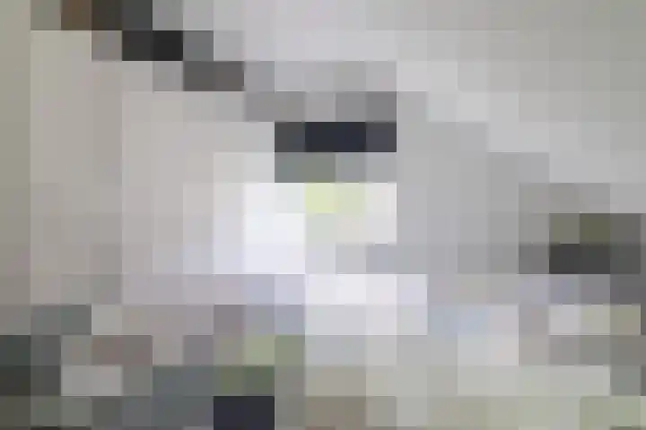 Griene Wei 39 Easternijtsjerk thumbnail 37