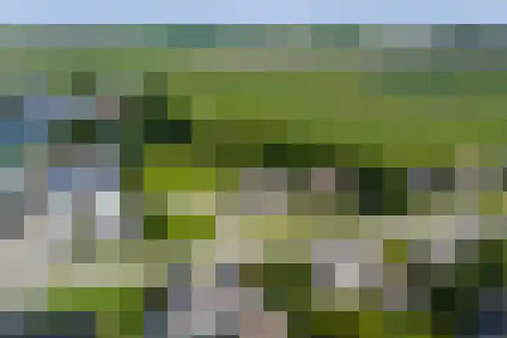 Griene Wei 39 Easternijtsjerk thumbnail 4