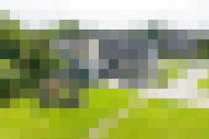 Griene Wei 39 Easternijtsjerk thumbnail 5
