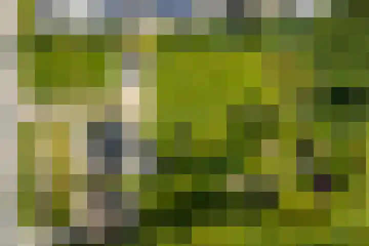 Griene Wei 39 Easternijtsjerk thumbnail 53