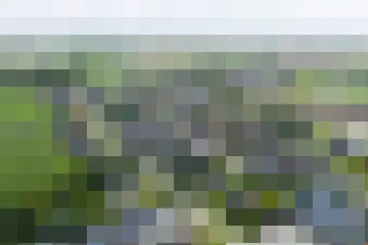 Griene Wei 39 Easternijtsjerk thumbnail 54