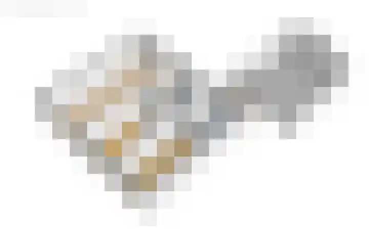Griene Wei 39 Easternijtsjerk thumbnail 59