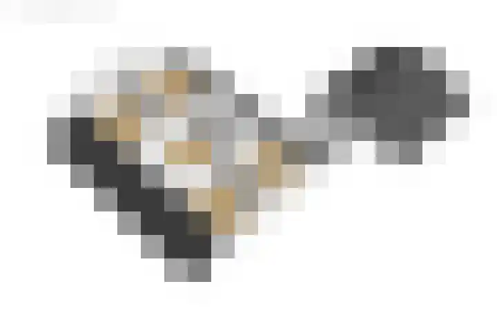 Griene Wei 39 Easternijtsjerk thumbnail 66