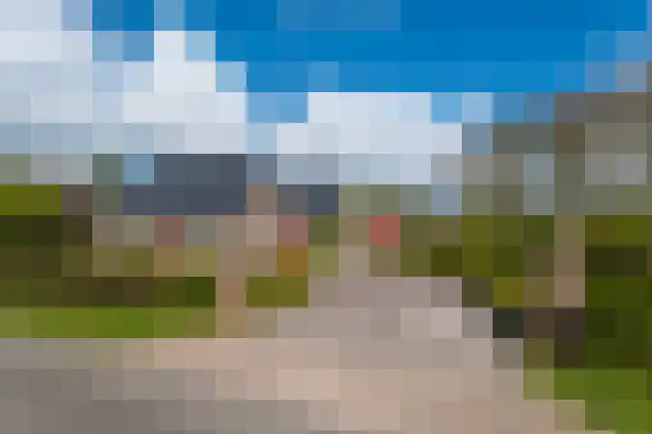 Grienereed 2 B Reitsum thumbnail 10