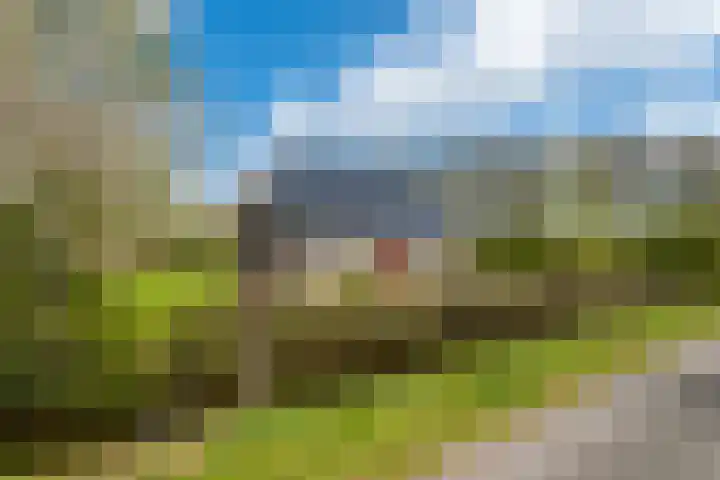 Grienereed 2 B Reitsum thumbnail 11