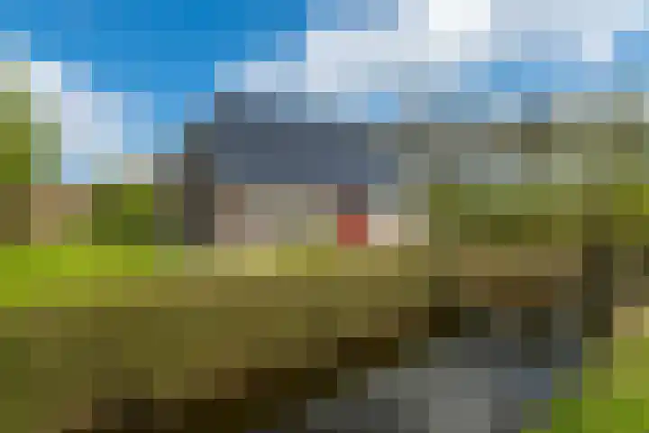 Grienereed 2 B Reitsum thumbnail 12
