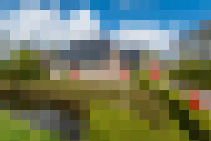 Grienereed 2 B Reitsum thumbnail 13