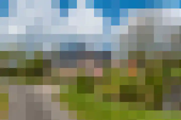 Grienereed 2 B Reitsum thumbnail 14