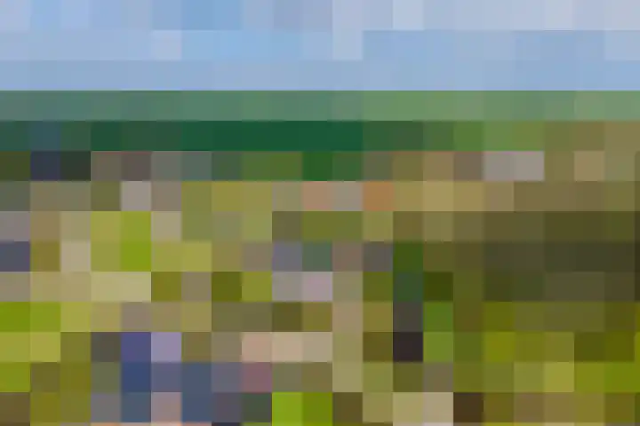 Grienereed 2 B Reitsum thumbnail 15