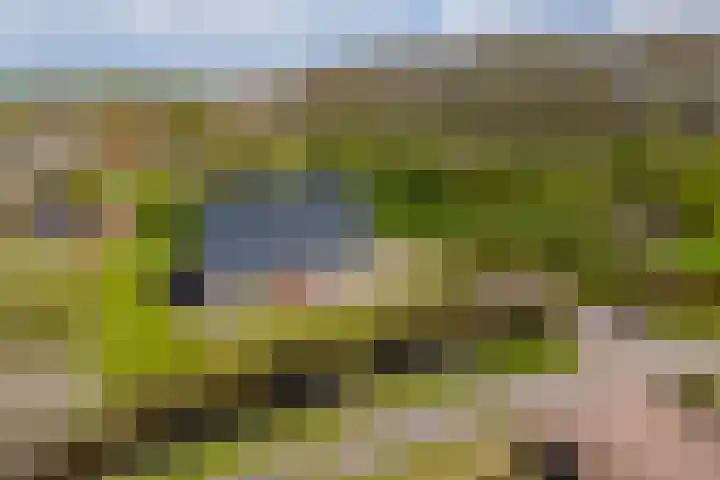 Grienereed 2 B Reitsum thumbnail 17