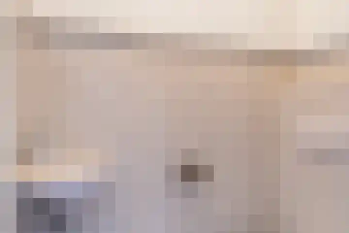 Grienereed 2 B Reitsum thumbnail 19
