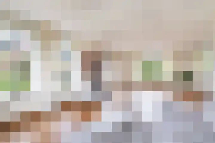 Grienereed 2 B Reitsum thumbnail 24