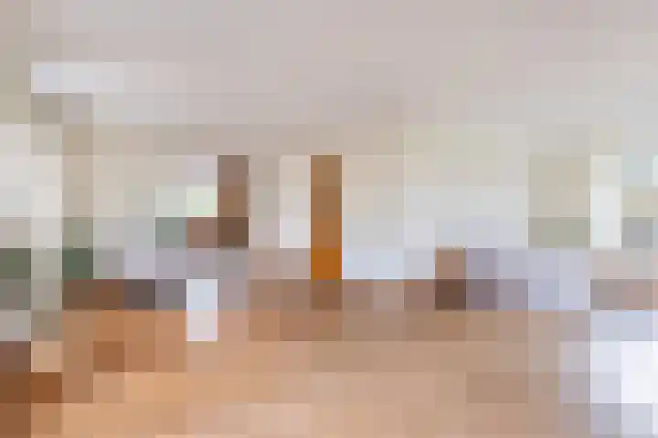 Grienereed 2 B Reitsum thumbnail 27