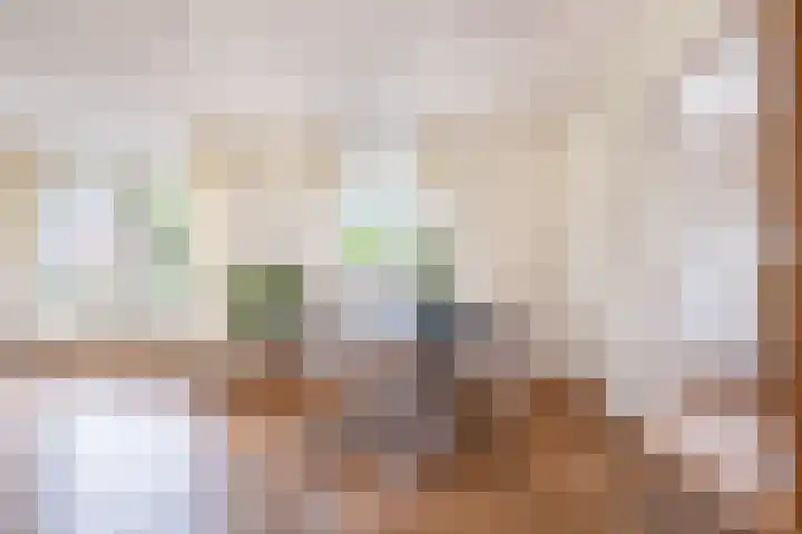 Grienereed 2 B Reitsum thumbnail 31