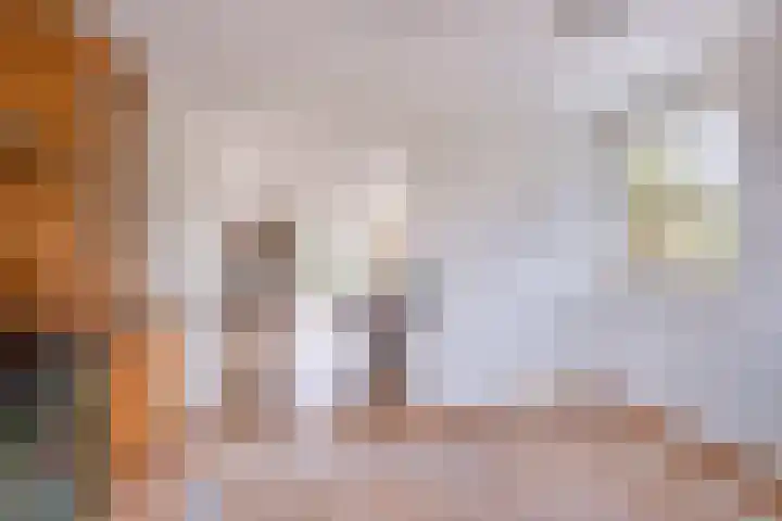 Grienereed 2 B Reitsum thumbnail 32