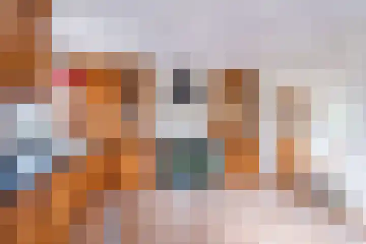 Grienereed 2 B Reitsum thumbnail 33