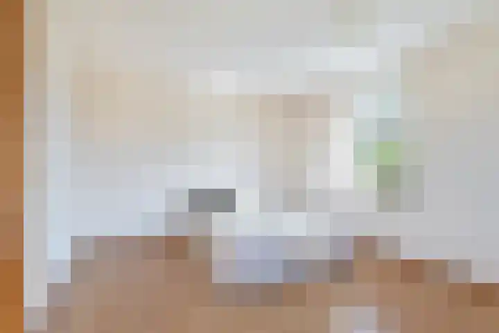 Grienereed 2 B Reitsum thumbnail 47