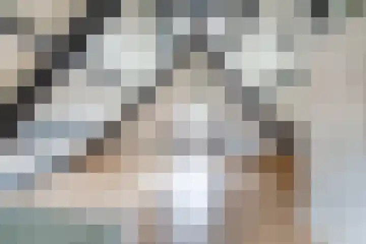 Grienereed 2 B Reitsum thumbnail 48