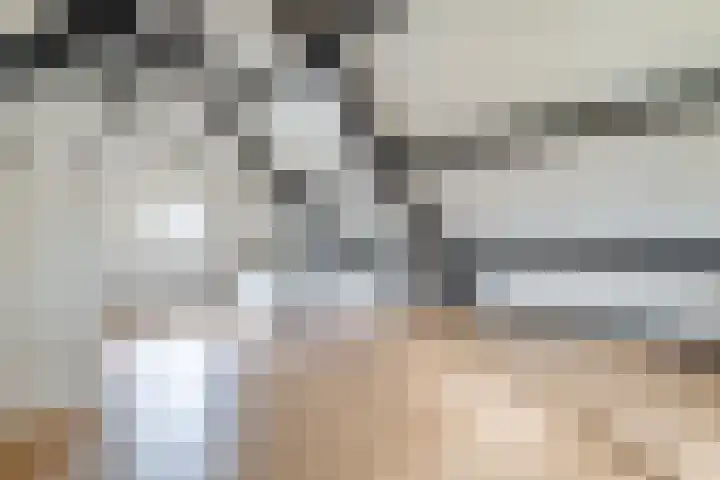 Grienereed 2 B Reitsum thumbnail 49