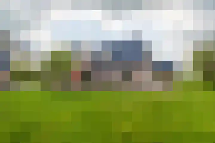 Grienereed 2 B Reitsum thumbnail 5