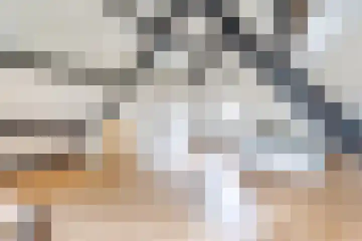 Grienereed 2 B Reitsum thumbnail 50