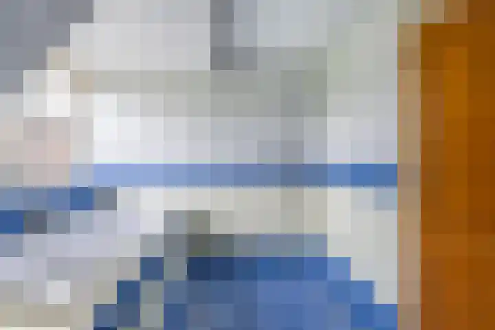 Grienereed 2 B Reitsum thumbnail 56
