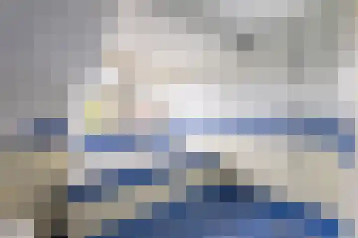 Grienereed 2 B Reitsum thumbnail 57