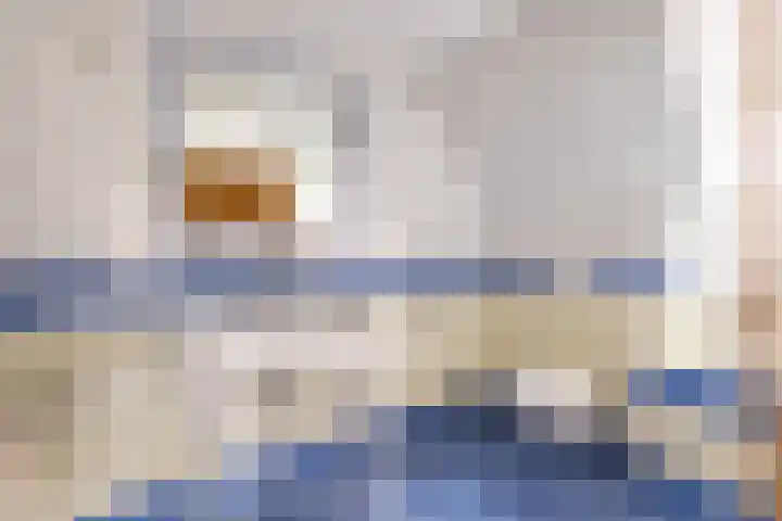 Grienereed 2 B Reitsum thumbnail 58