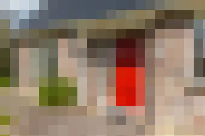 Grienereed 2 B Reitsum thumbnail 6