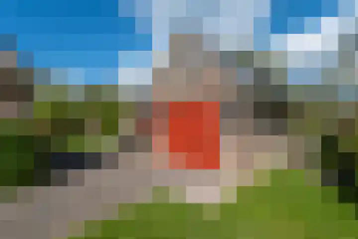 Grienereed 2 B Reitsum thumbnail 60