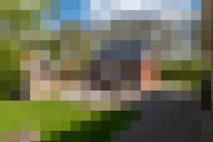 Grienereed 2 B Reitsum thumbnail 61
