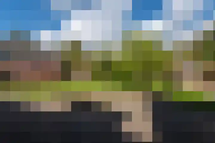 Grienereed 2 B Reitsum thumbnail 62