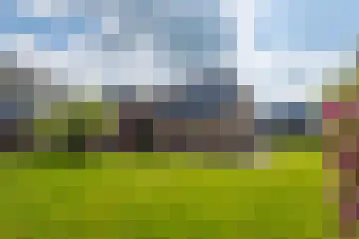 Grienereed 2 B Reitsum thumbnail 63
