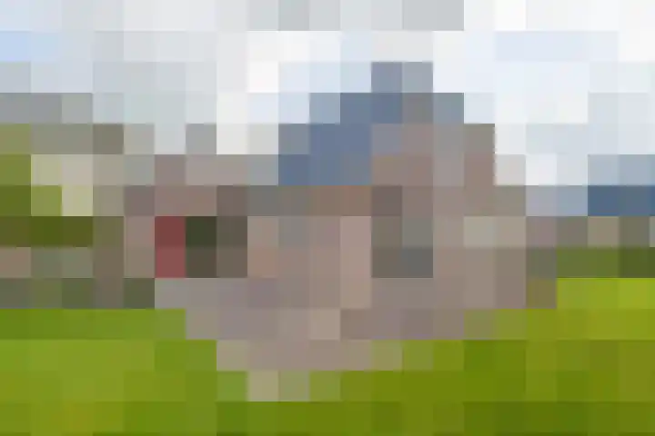 Grienereed 2 B Reitsum thumbnail 65