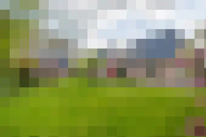 Grienereed 2 B Reitsum thumbnail 66