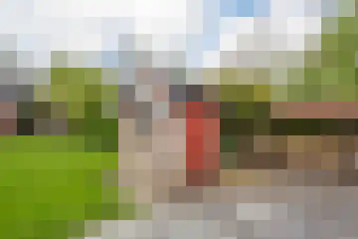 Grienereed 2 B Reitsum thumbnail 68