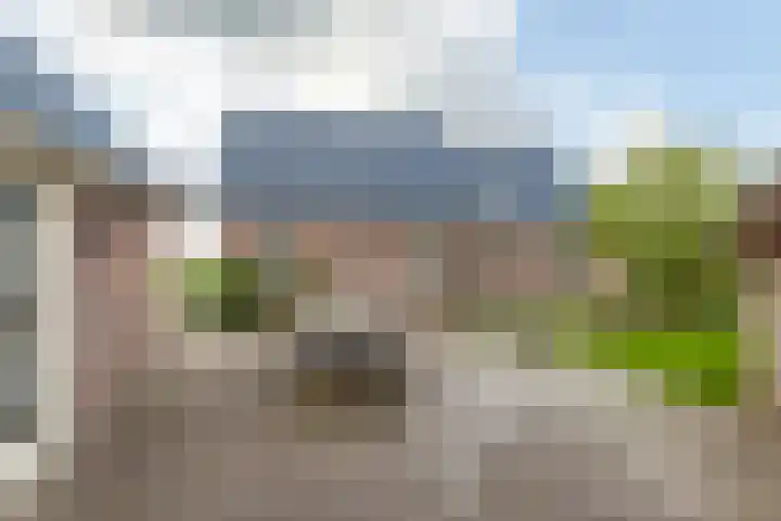 Grienereed 2 B Reitsum thumbnail 69