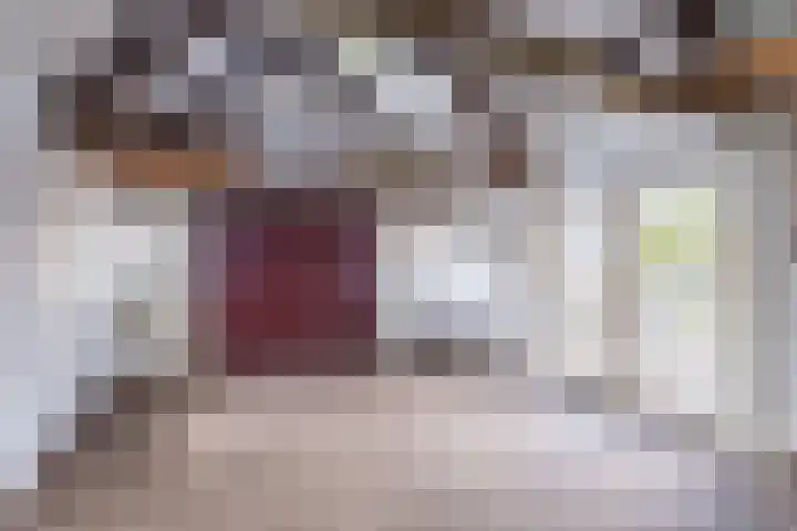 Grienereed 2 B Reitsum thumbnail 70