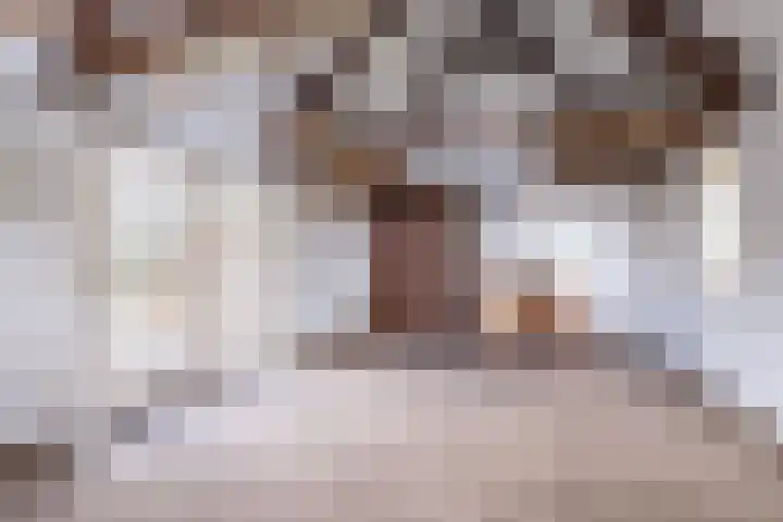 Grienereed 2 B Reitsum thumbnail 71