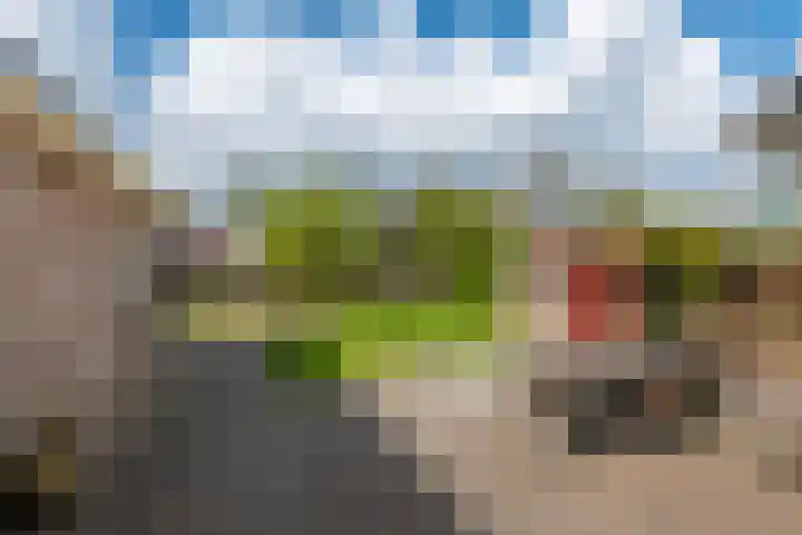 Grienereed 2 B Reitsum thumbnail 72
