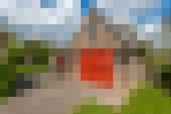 Grienereed 2 B Reitsum thumbnail 73