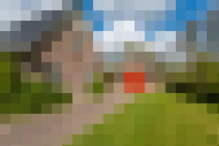 Grienereed 2 B Reitsum thumbnail 74